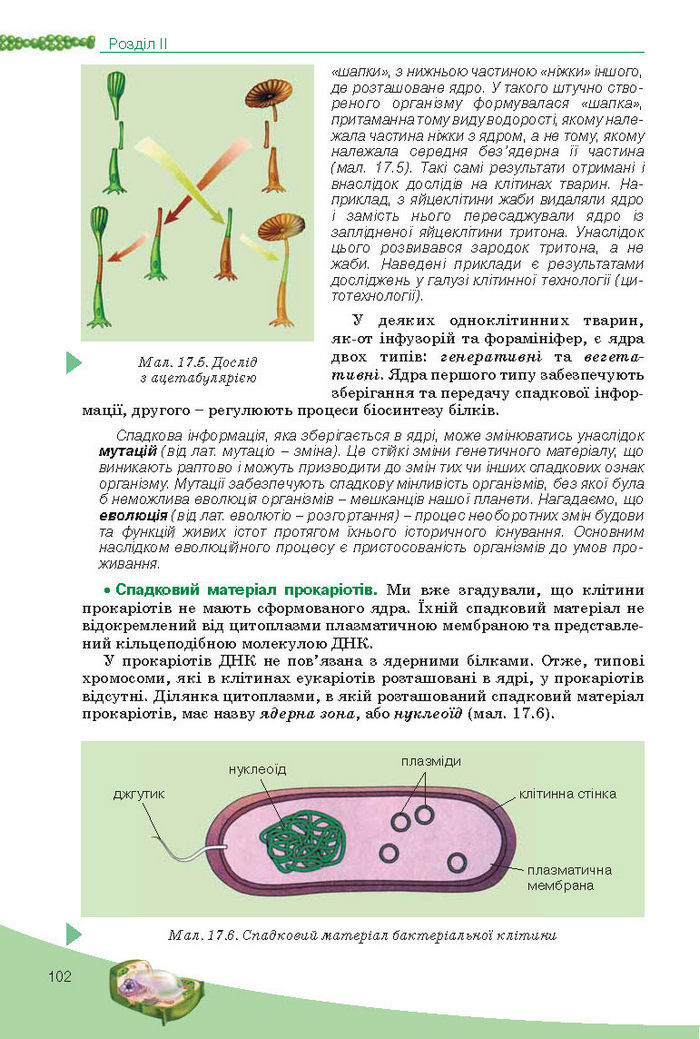 Підручник Біологія 10 клас Балан