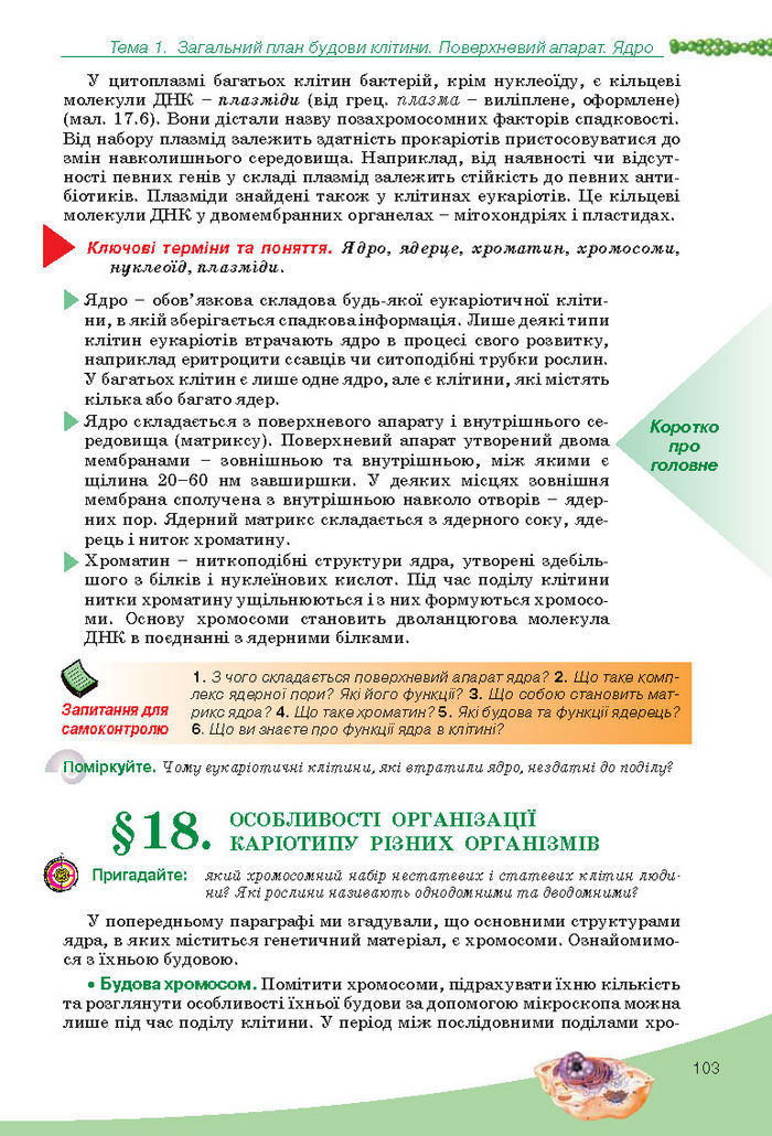 Підручник Біологія 10 клас Балан