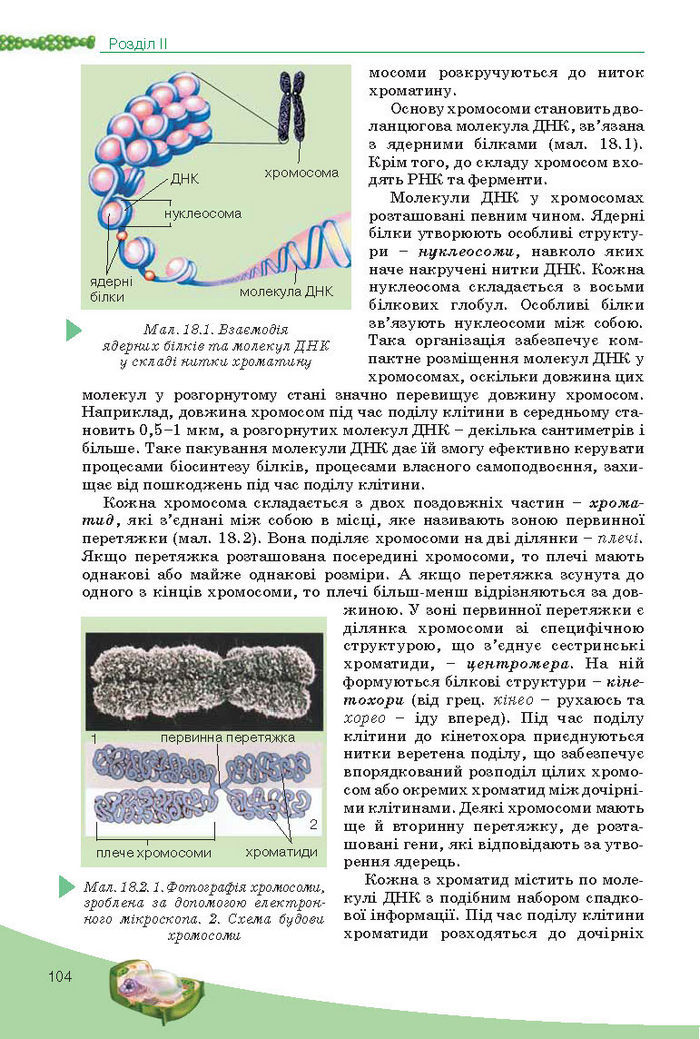 Підручник Біологія 10 клас Балан