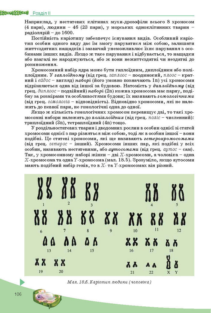 Підручник Біологія 10 клас Балан