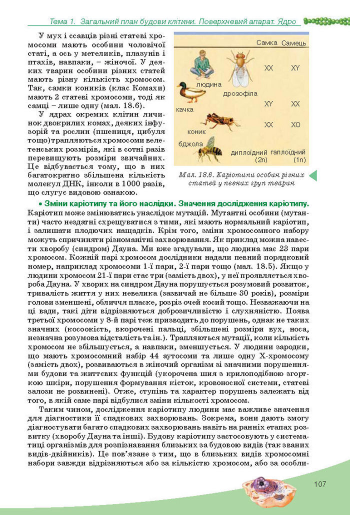 Підручник Біологія 10 клас Балан