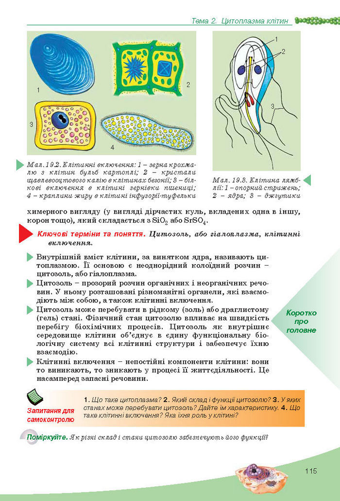 Підручник Біологія 10 клас Балан