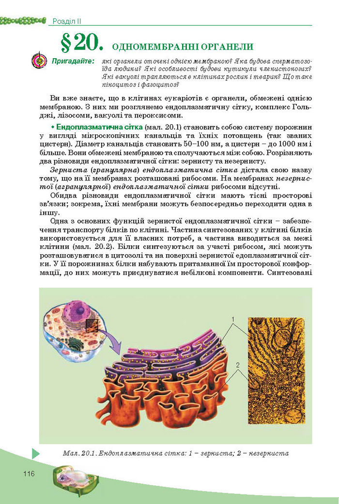Підручник Біологія 10 клас Балан