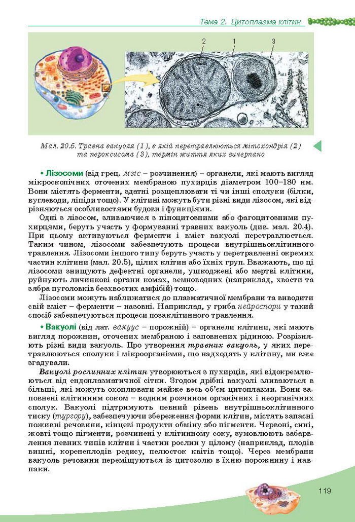 Підручник Біологія 10 клас Балан