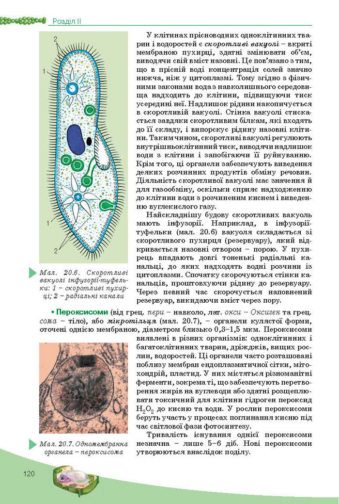 Підручник Біологія 10 клас Балан