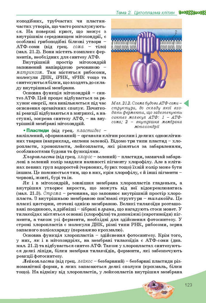 Підручник Біологія 10 клас Балан