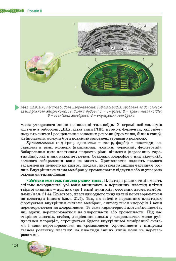 Підручник Біологія 10 клас Балан
