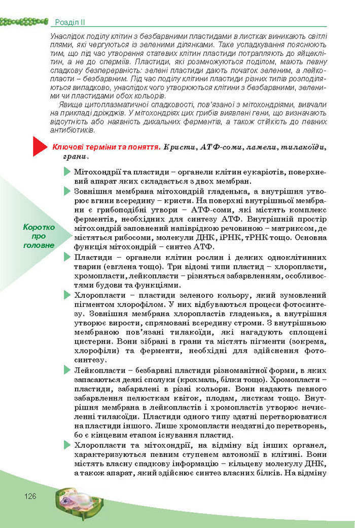 Підручник Біологія 10 клас Балан