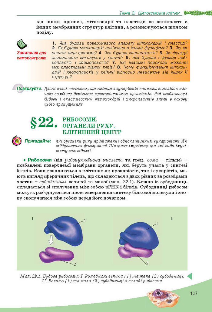 Підручник Біологія 10 клас Балан