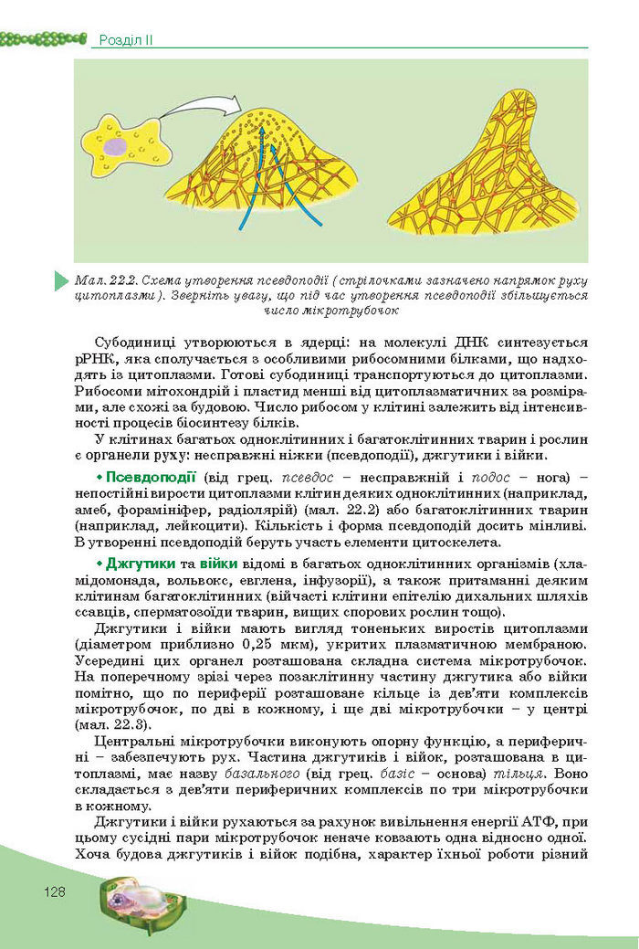 Підручник Біологія 10 клас Балан