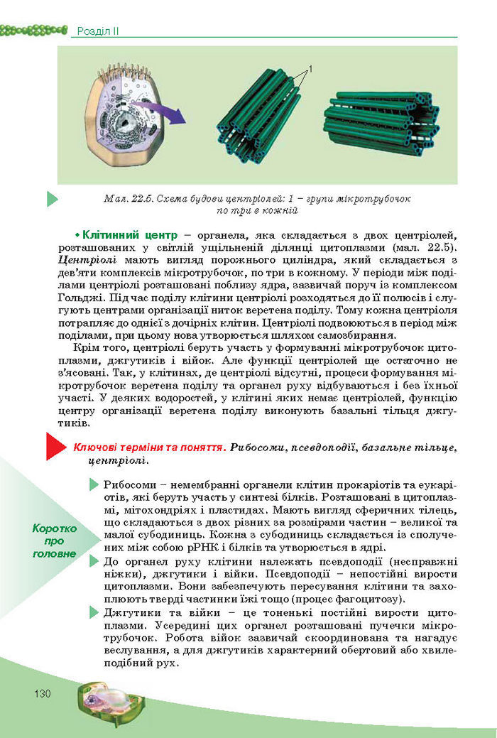 Підручник Біологія 10 клас Балан