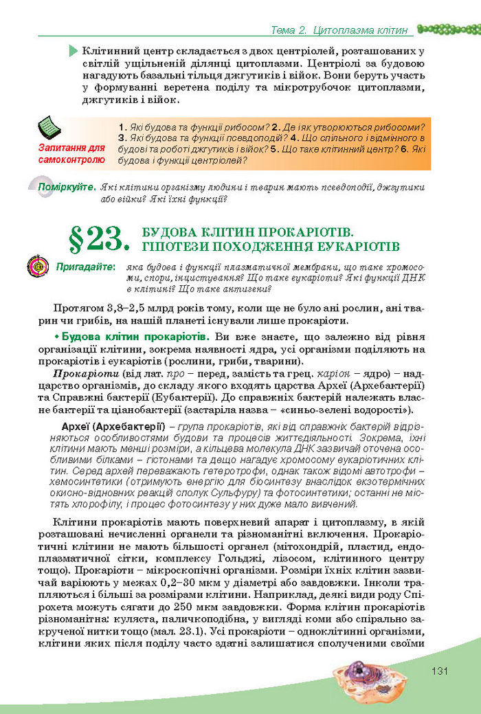 Підручник Біологія 10 клас Балан