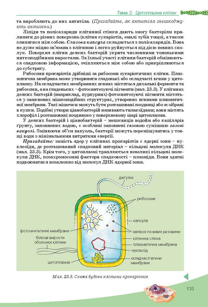 Підручник Біологія 10 клас Балан