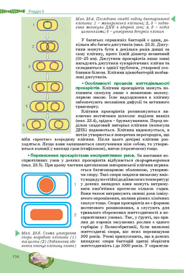 Підручник Біологія 10 клас Балан