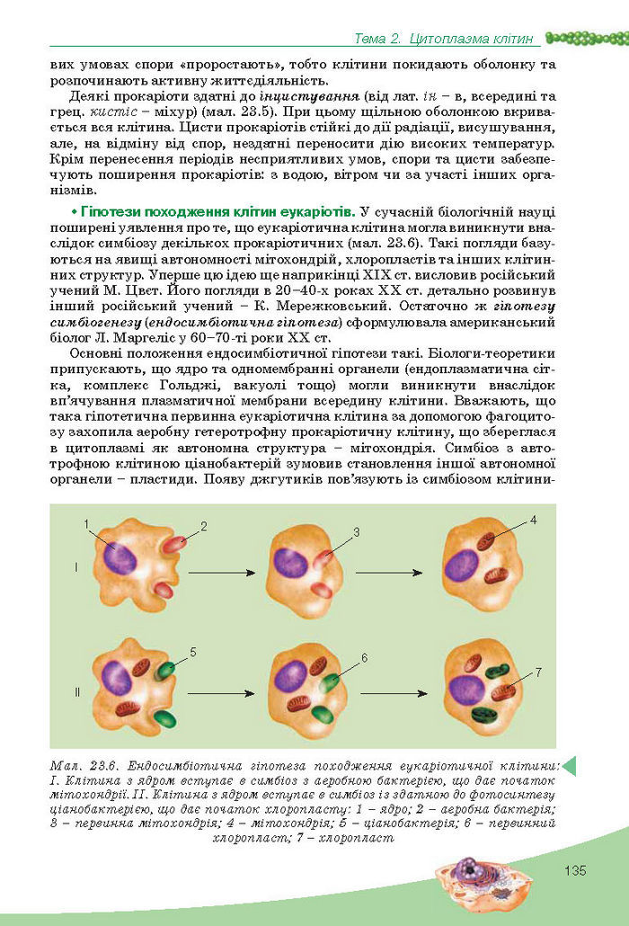 Підручник Біологія 10 клас Балан