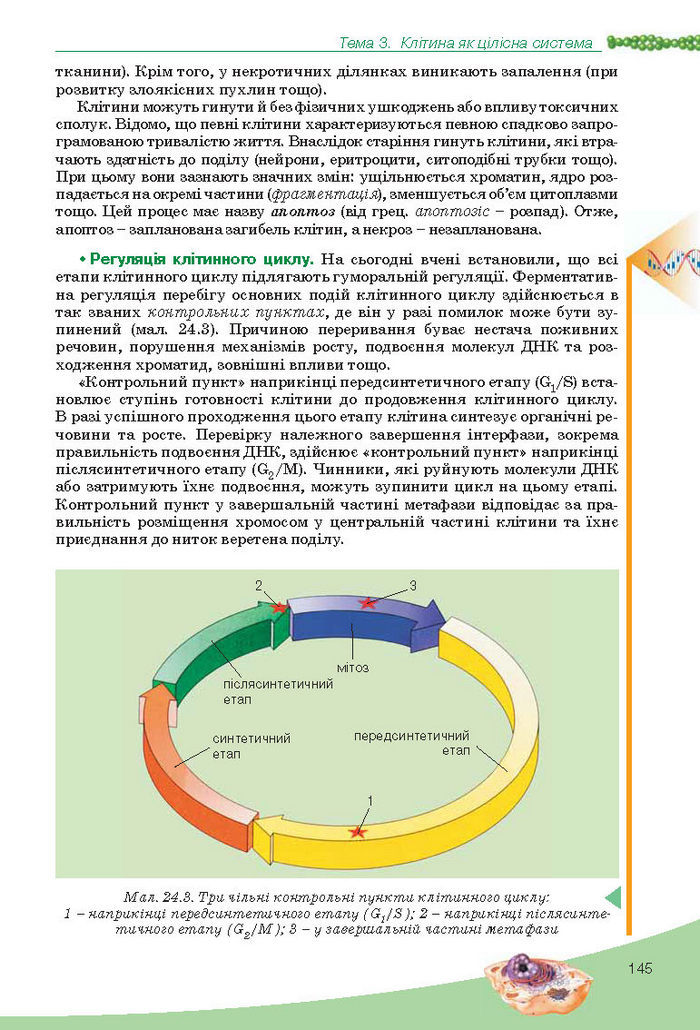 Підручник Біологія 10 клас Балан