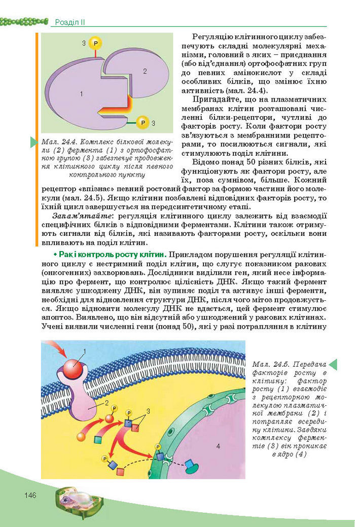 Підручник Біологія 10 клас Балан