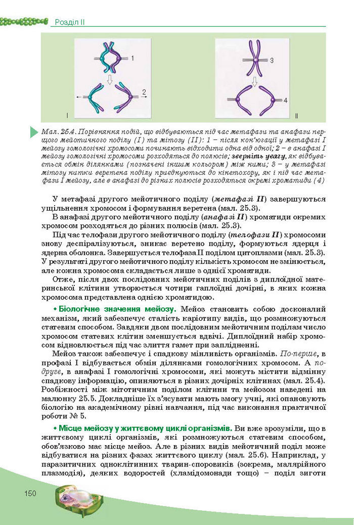 Підручник Біологія 10 клас Балан