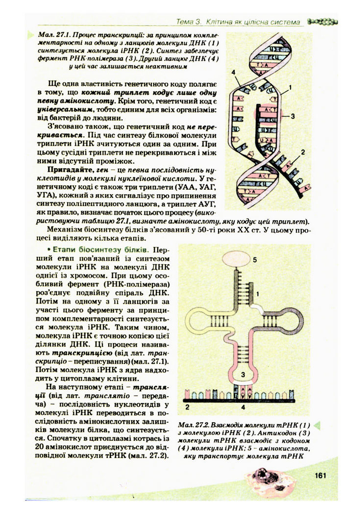 Підручник Біологія 10 клас Балан