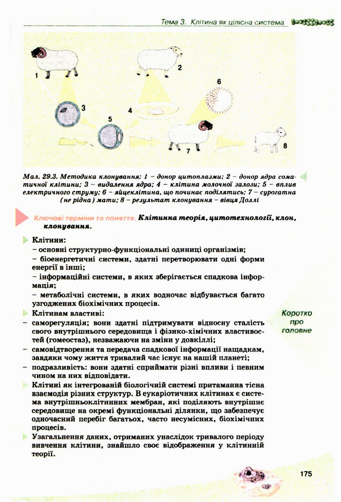 Підручник Біологія 10 клас Балан