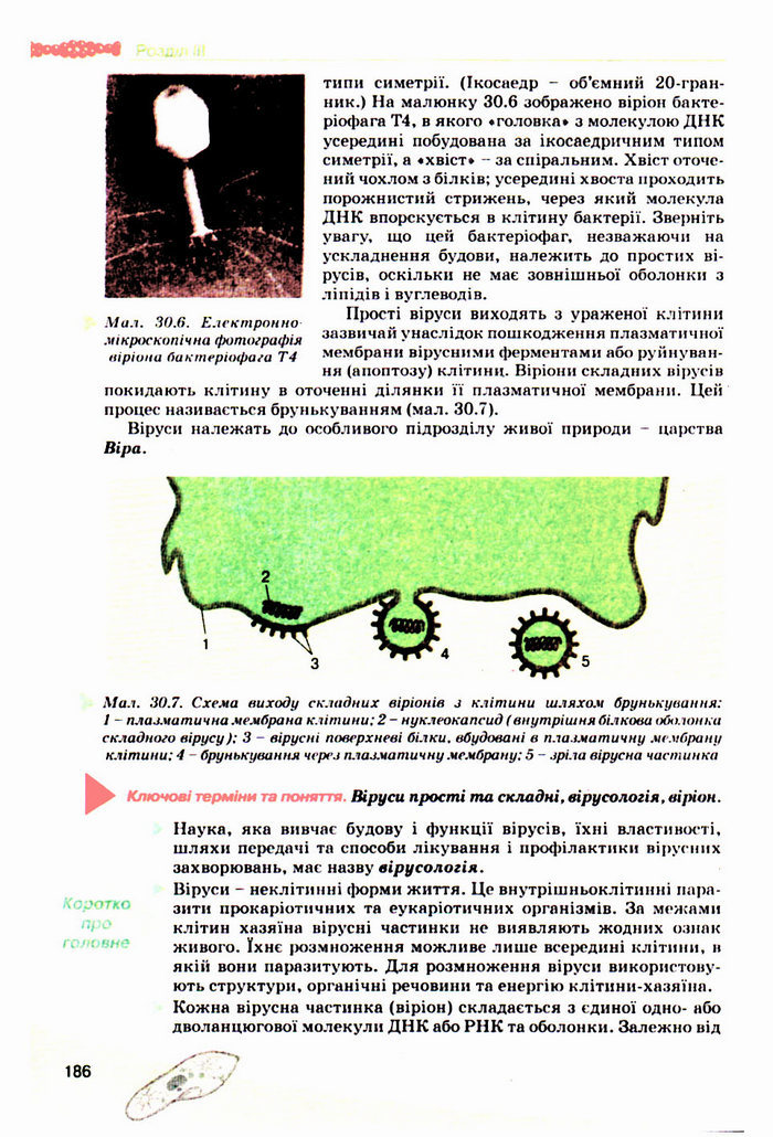 Підручник Біологія 10 клас Балан