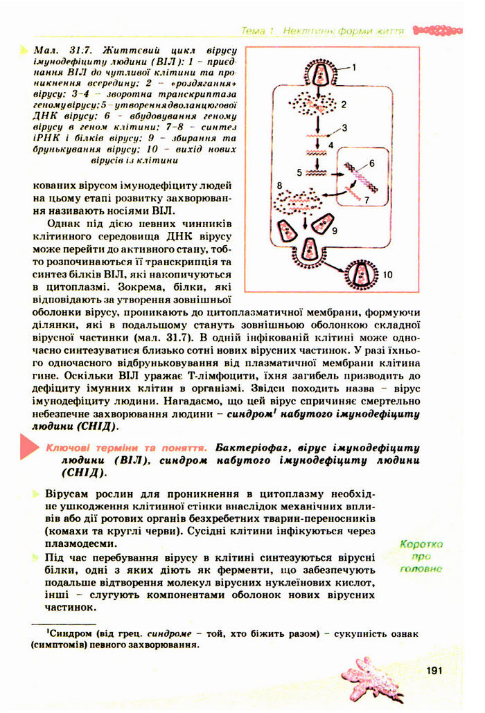 Підручник Біологія 10 клас Балан