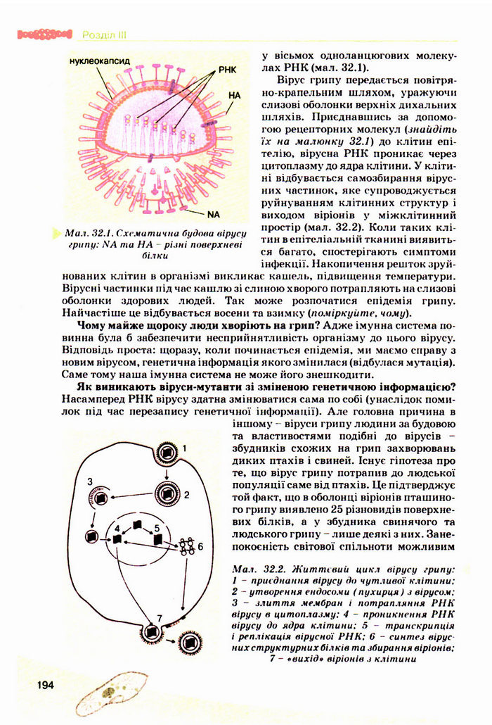 Підручник Біологія 10 клас Балан