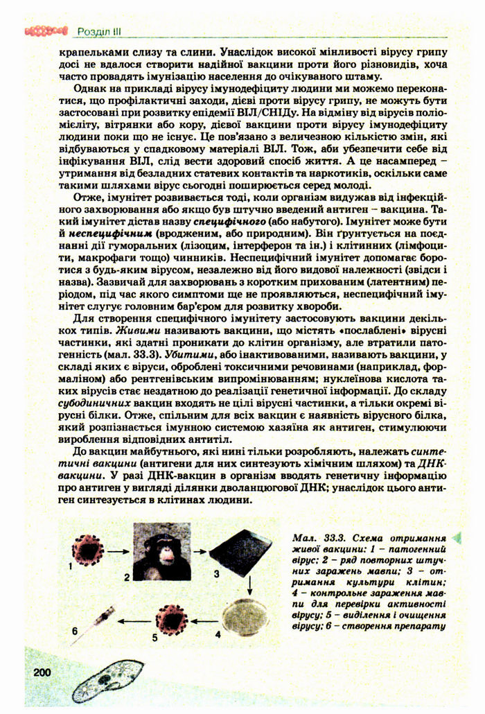 Підручник Біологія 10 клас Балан