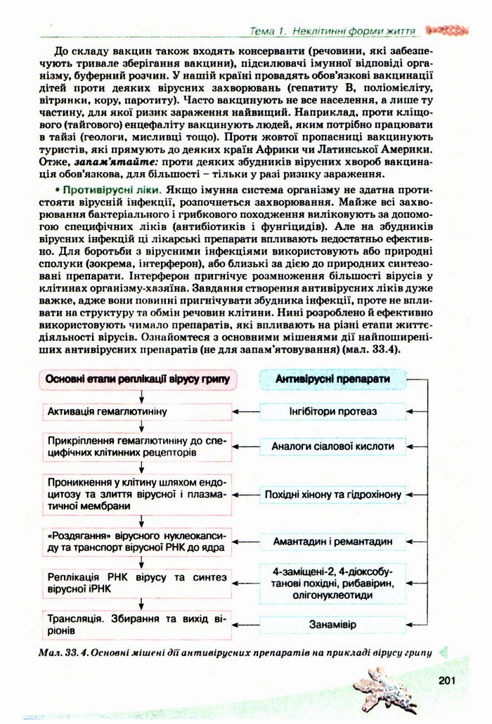 Підручник Біологія 10 клас Балан