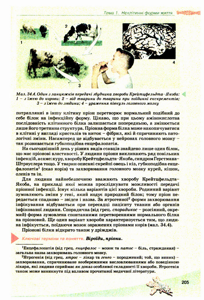 Підручник Біологія 10 клас Балан