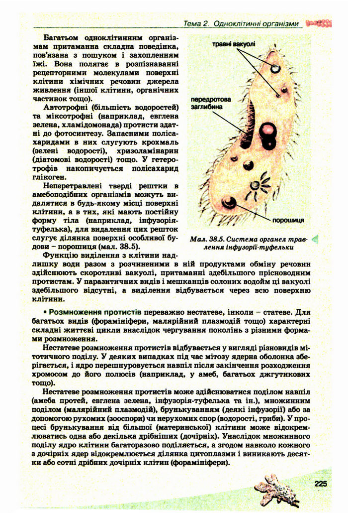 Підручник Біологія 10 клас Балан