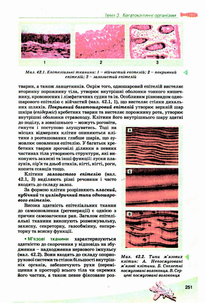 Підручник Біологія 10 клас Балан