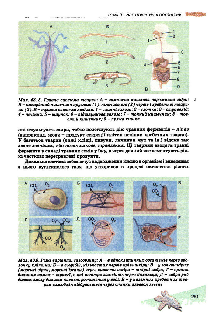 Підручник Біологія 10 клас Балан