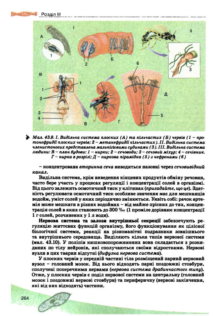 Підручник Біологія 10 клас Балан