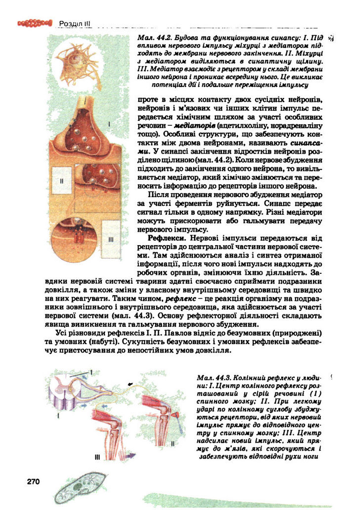 Підручник Біологія 10 клас Балан