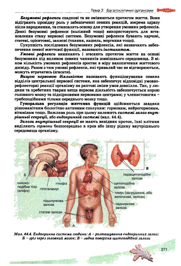Підручник Біологія 10 клас Балан