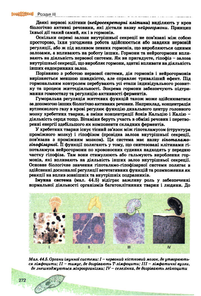Підручник Біологія 10 клас Балан