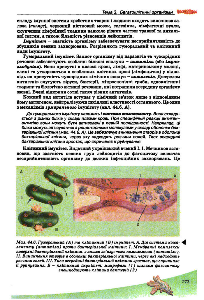 Підручник Біологія 10 клас Балан