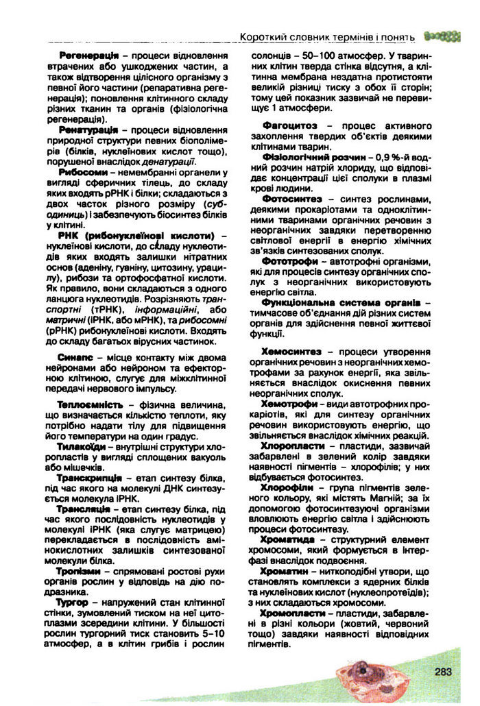 Підручник Біологія 10 клас Балан
