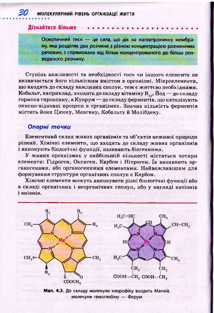 Біологія 10 клас Тагліна