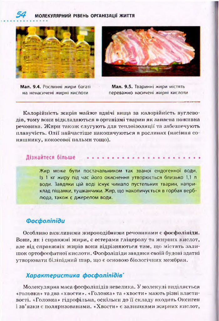 Біологія 10 клас Тагліна
