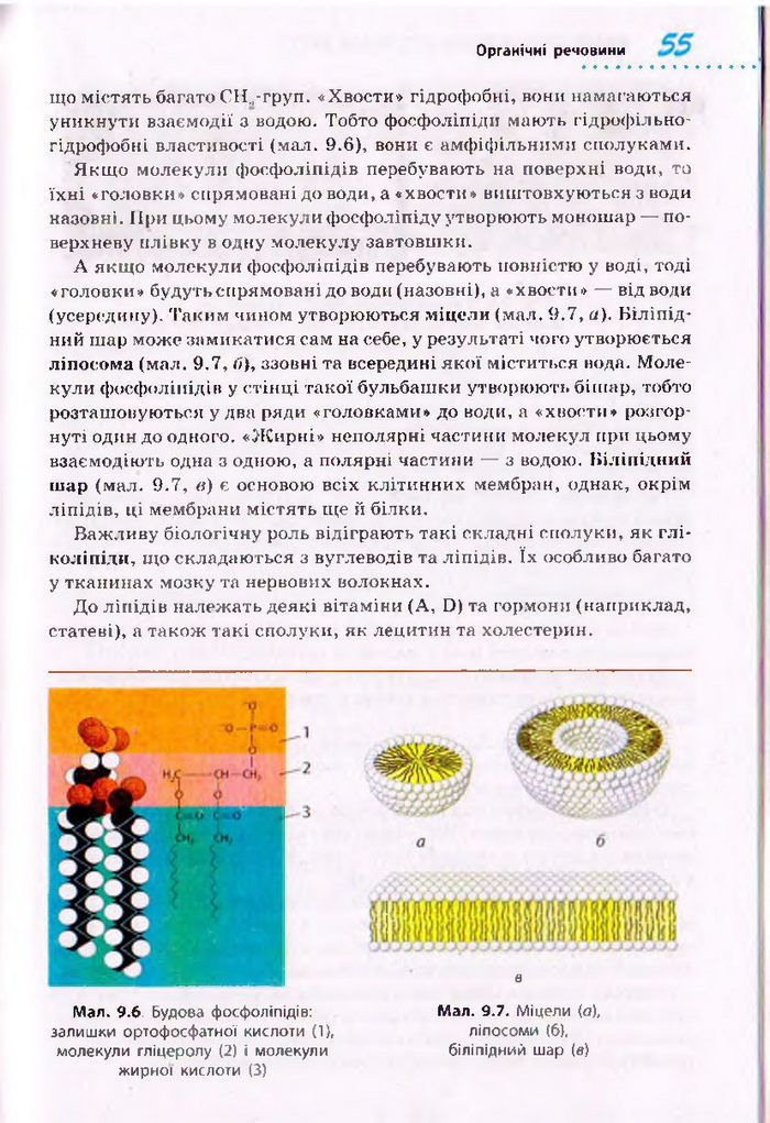 Біологія 10 клас Тагліна