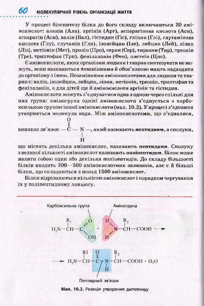 Біологія 10 клас Тагліна