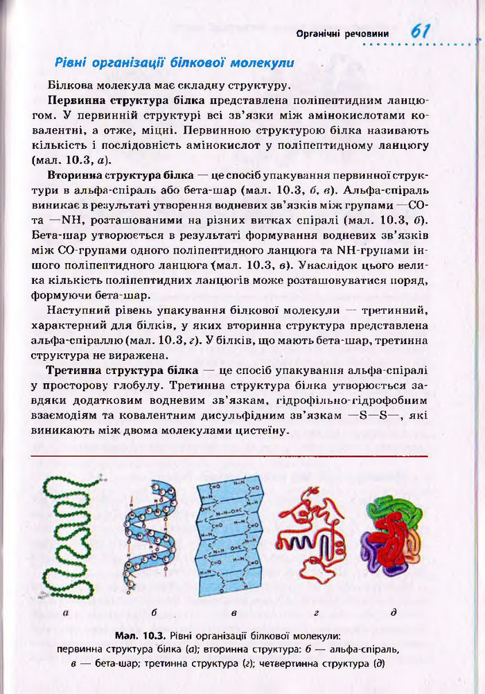 Біологія 10 клас Тагліна