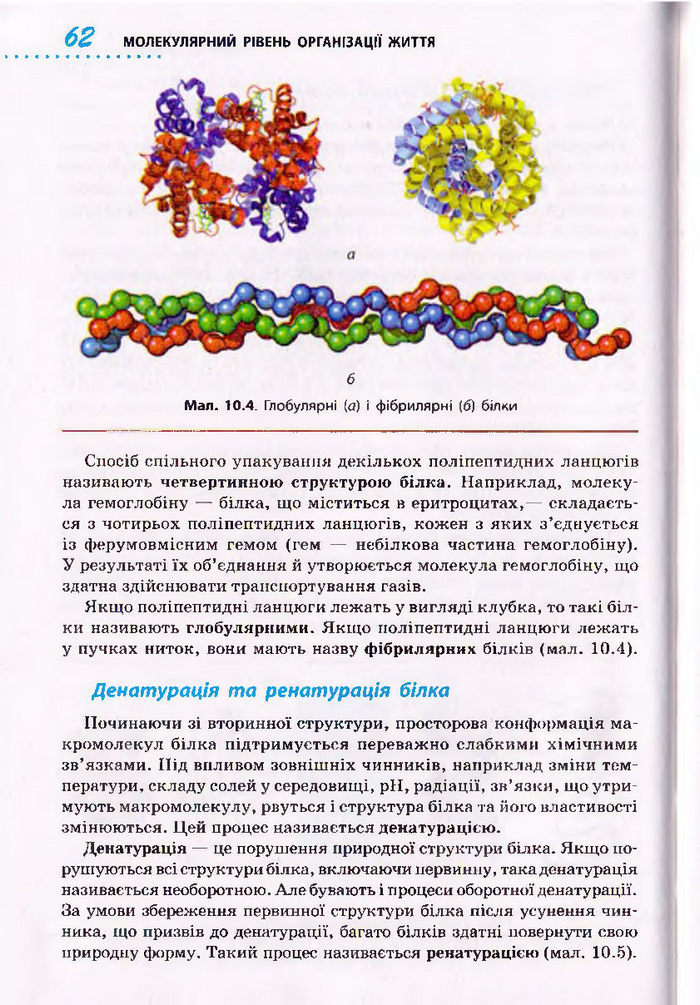 Біологія 10 клас Тагліна