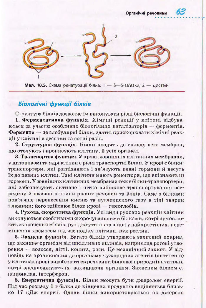Біологія 10 клас Тагліна