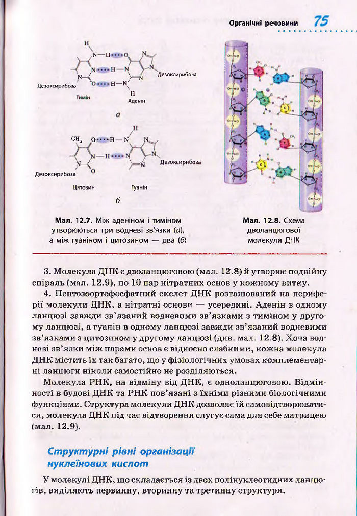 Біологія 10 клас Тагліна