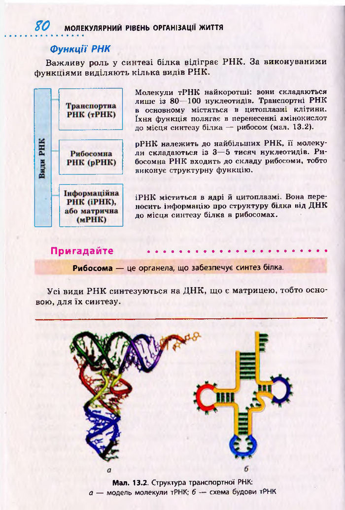 Біологія 10 клас Тагліна