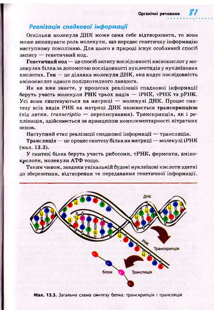 Біологія 10 клас Тагліна