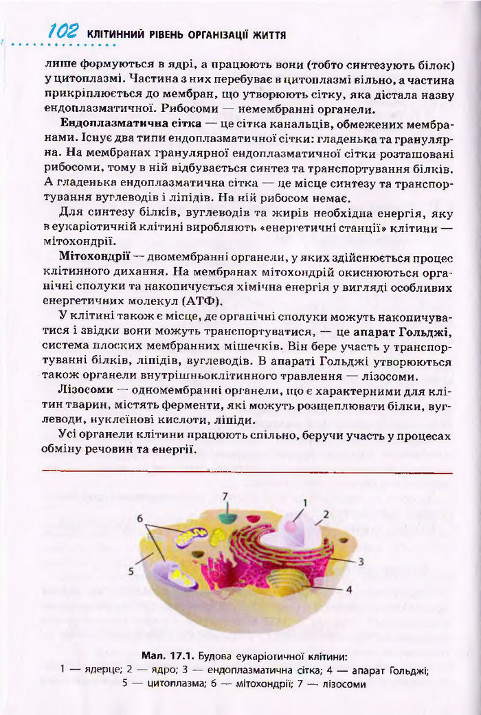Біологія 10 клас Тагліна